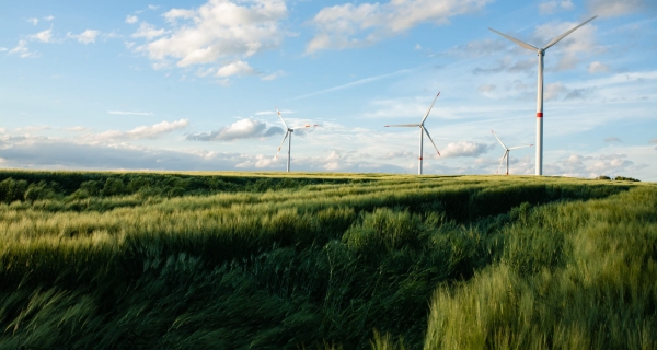 Las habilidades más demandadas para trabajar en el sector energético