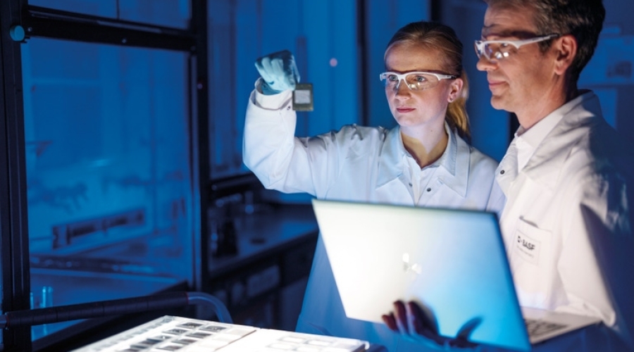 Se implantará en el año académico 2026-2027 y BASF pretende extenderlo a otras empresas y universidades.